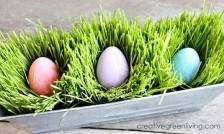 Jak si vypěstovat a ozdobit zelené velikonoční osení